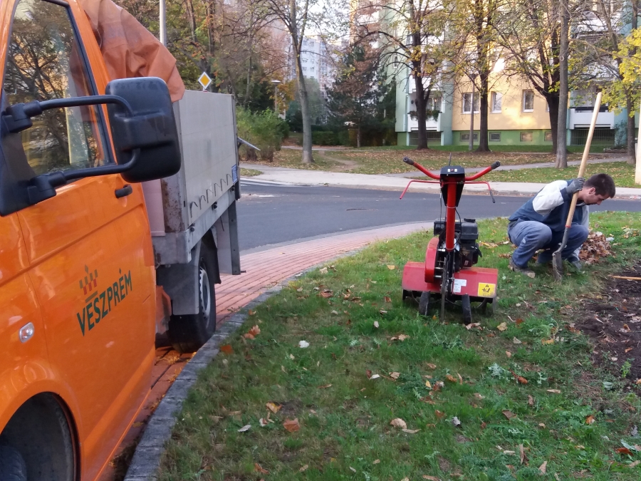 Körbe-körbe, karikába…