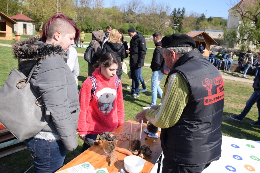 Egyedülálló hétvégi program a Veszprémvölgyben