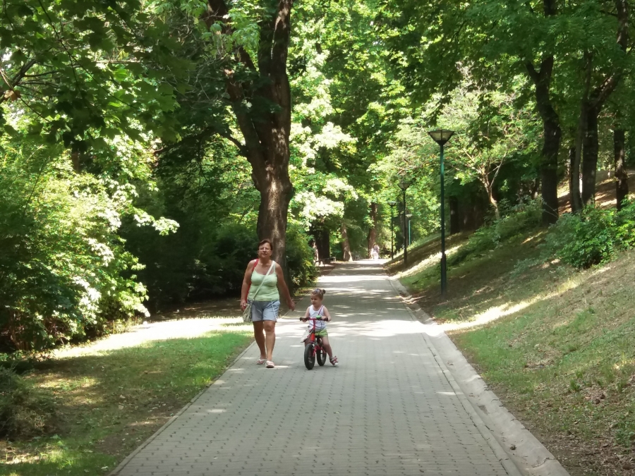 Élmény a parkban