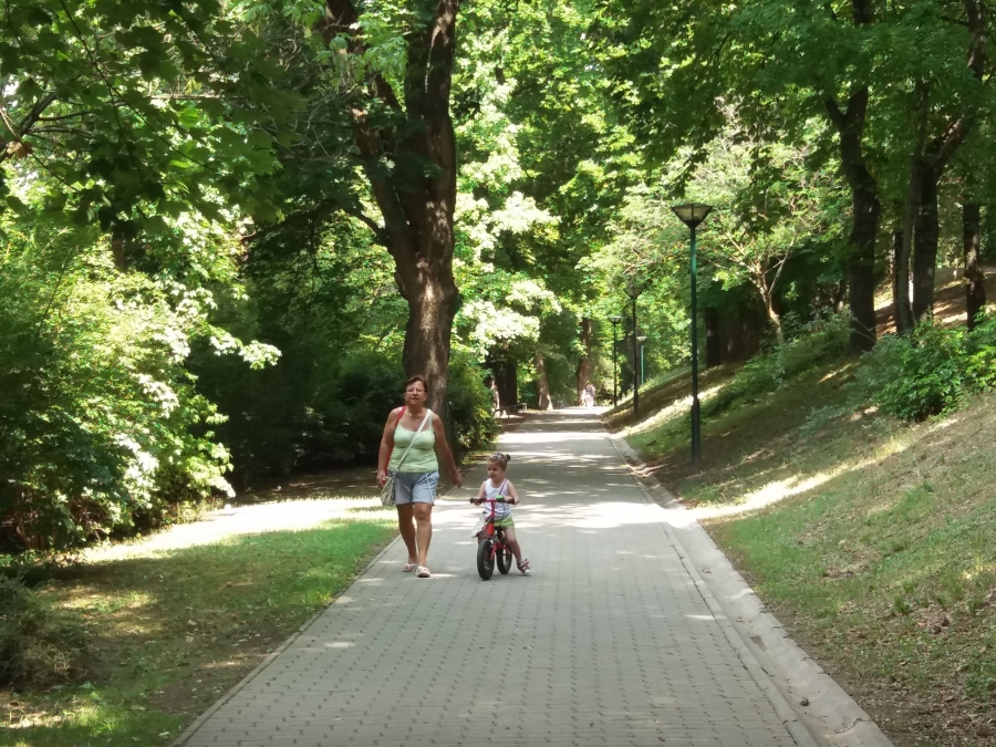 Élmény a parkban