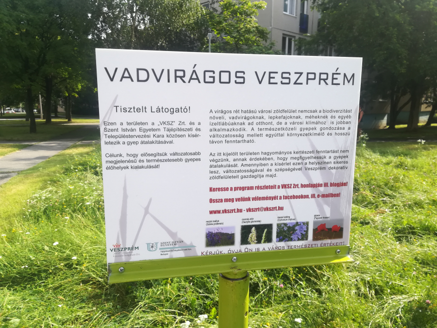 Rajtunk a világ szeme