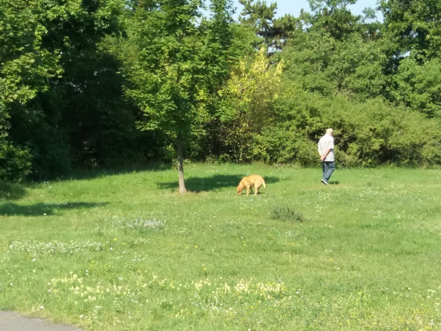 Élmény a parkban