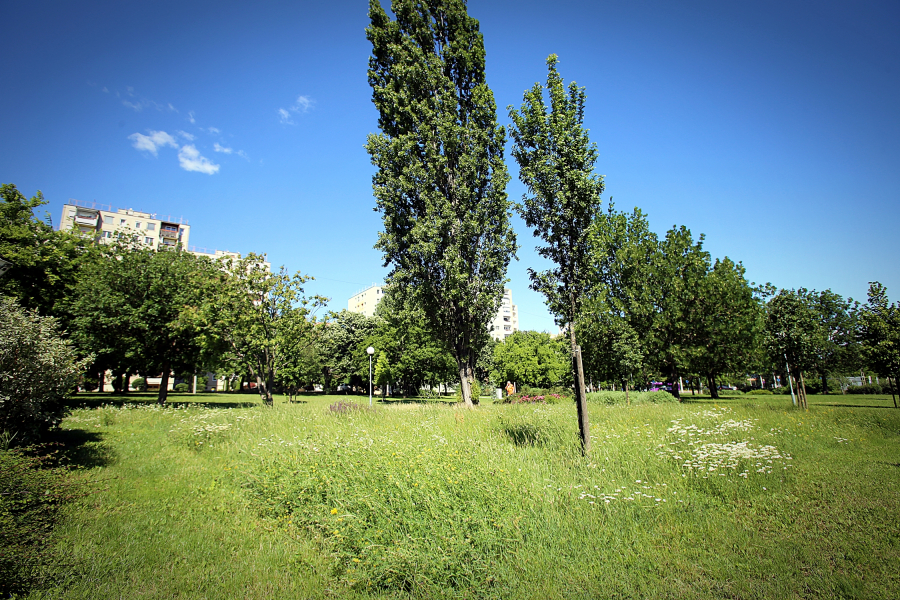 VADVIRÁGOS PIKNIK - Le a cipővel, éljen a mezítláb!