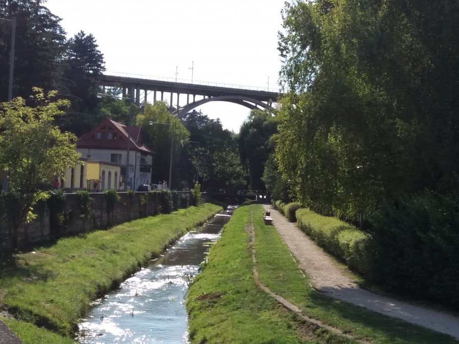 Élmény a parkban