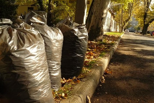 Tartsuk tisztán a lakókörnyezetünket – vegyük igénybe a házhoz menő zöldhulladék-gyűjtést!